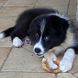 Meet your Posher, Marsha